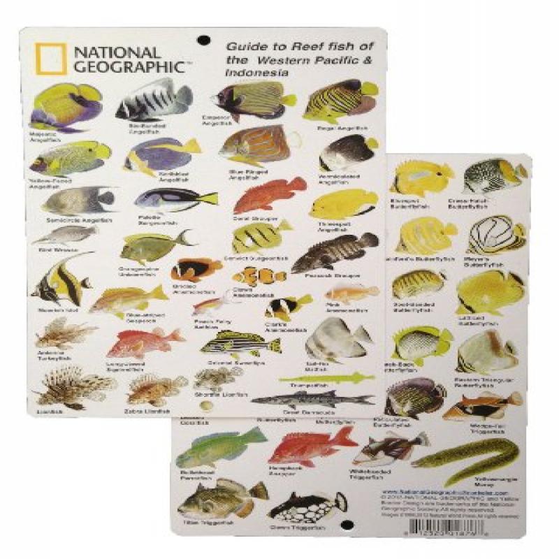 National Geographic Id Card